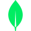 MongoDB logo